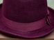 Жіночий капелюх-федора 282-1 282-1 HL фото 4